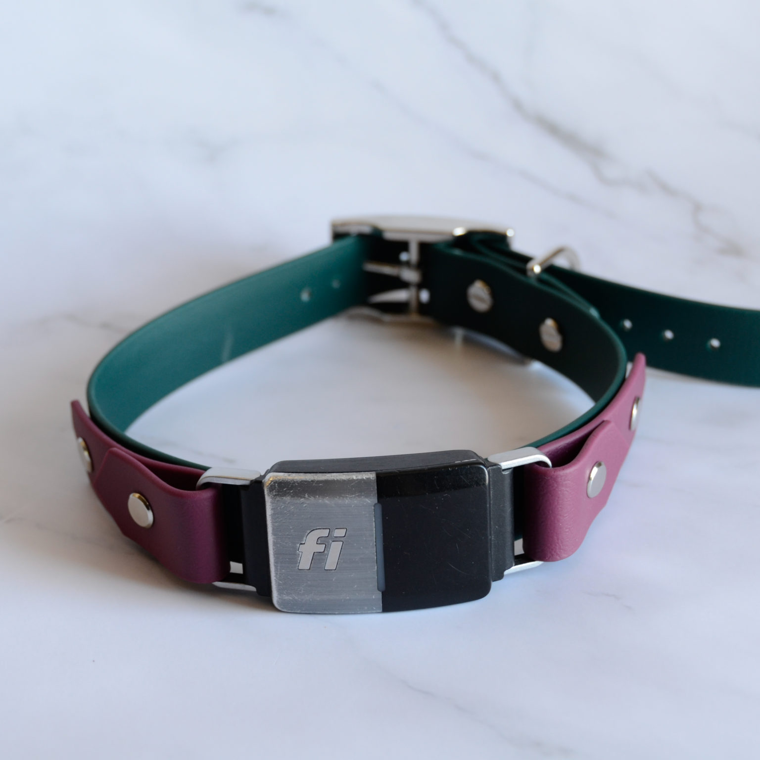 Fi Compatible Biothane Dog Collar On the Collar Attachment